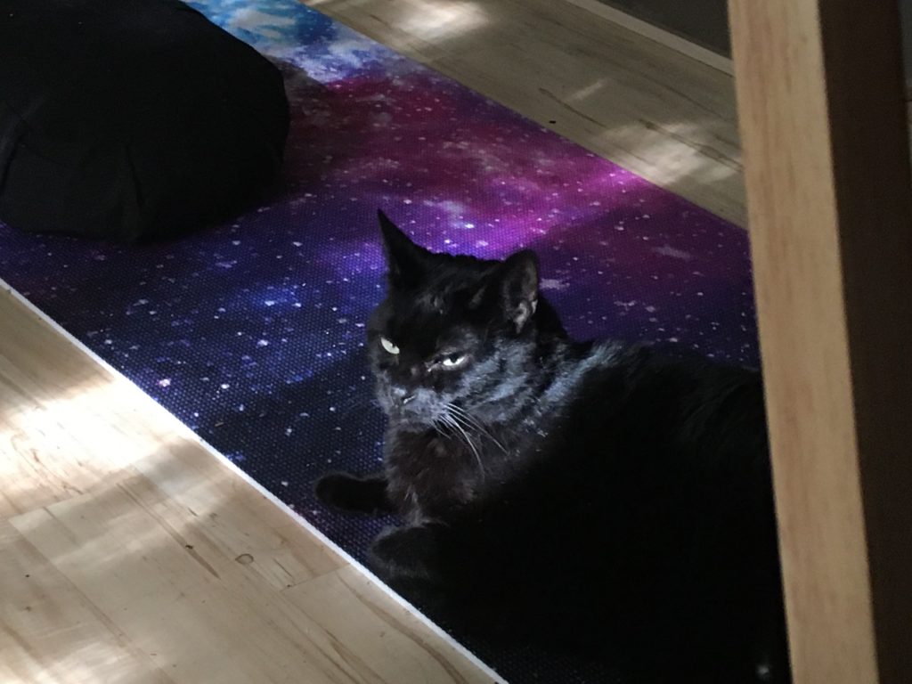 A black cat in dappled sunlight, lying on a yoga mat with a purple galaxy pattern on it, framed by pale wood floor. 